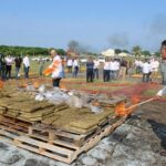 FGR Y SEMAR DESTRUYEN MÁS DE 350 KILOS DE DROGAS ASEGURADAS EN VERACRUZ