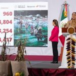 4 MIL 5 MILLONES 35 MIL PESOS PARA LA RECONSTRUCCIÓN DE VERACRUZ: PRESIDENCIA