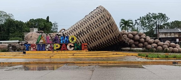 CAÍDA DEL EMBLEMÁTICO “COLOTERO” EN ÁLAMO, VERACRUZ