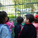 FORTALECE H. AYUNTAMIENTO DE VERACRUZ LA EDUCACIÓN AMBIENTAL EN EL ZOOLÓGICO MIGUEL ÁNGEL DE QUEVEDO