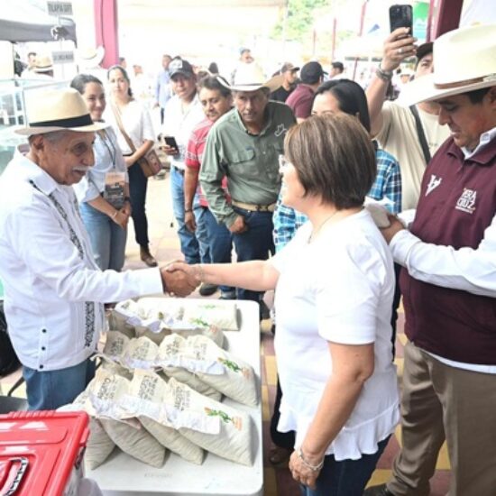 ACERCA AYUNTAMIENTO DE VERACRUZ INSUMOS Y OPORTUNIDADES A PRODUCTORES AGROPECUARIOS