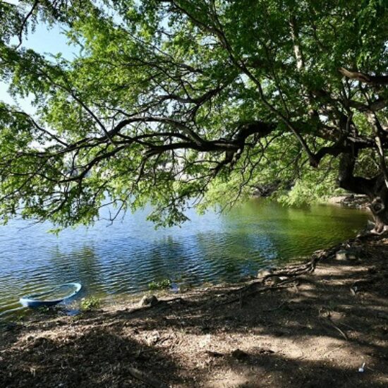 INICIA AYUNTAMIENTO DE VERACRUZ ACCIONES PERMANENTES PARA PROTEGER SU SISTEMA LAGUNAR