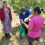 RESCATAN DOS PERROS EN ESTADO DE DESNUTRICIÓN EN EL FRACCIONAMIENTO OASIS