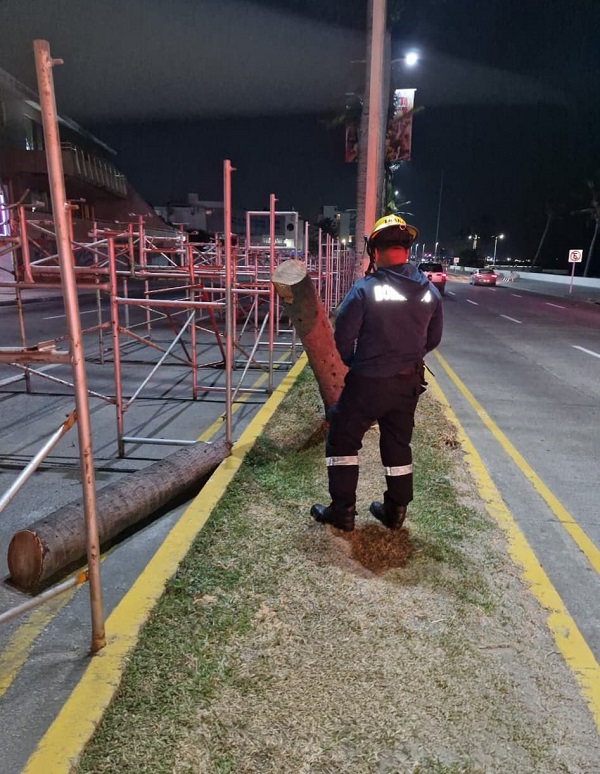 REPORTA AYUNTAMIENTO DE VERACRUZ SALDO BLANCO TRAS PASO DEL FRENTE FRÍO 37