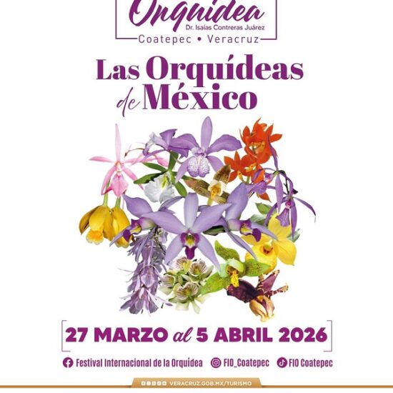 COATEPEC CELEBRA SU RIQUEZA NATURAL CON EL XVII FESTIVAL INTERNACIONAL DE LA ORQUÍDEA