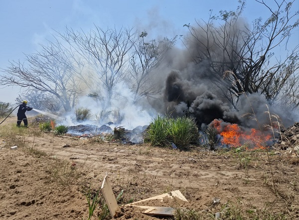 BOMBEROS Y PC MUNICIPAL DE VERACRUZ ATIENDEN INCENDIO DE PASTIZAL EN ZONA PONIENTE DE LA CIUDAD