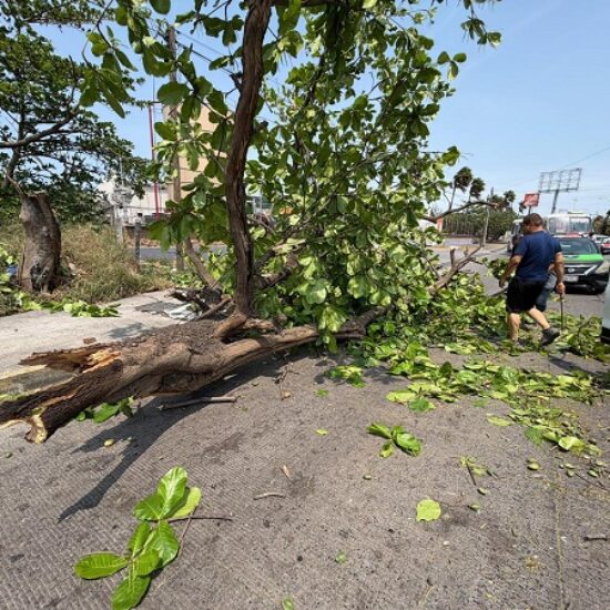 REPORTA PC SALDO BLANCO EN CIUDAD DE VERACRUZ; RACHAS REGISTRARON RÉCORD HISTÓRICO