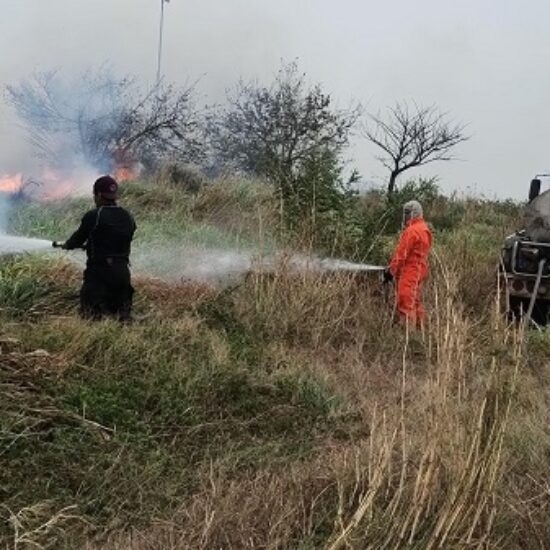 SALDO BLANCO EN MEDELLÍN DE BRAVO PESE A INTENSOS VIENTOS; SE ATENDIERON MÁS DE 45 EMERGENCIA
