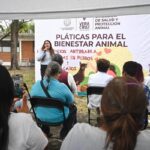 APLICARÁN 400 DOSIS GRATUITAS DE VACUNA ANTIRRÁBICA EN LA CIUDAD DE VERACRUZ