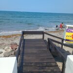 EMBELLECE AYUNTAMIENTO DE VERACRUZ EL BULEVAR ÁVILA CAMACHO