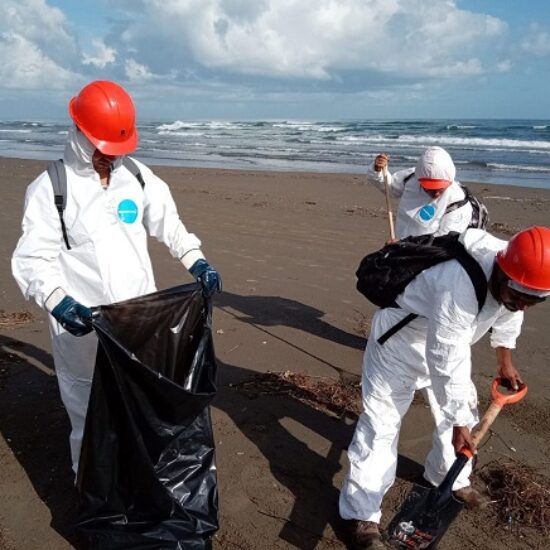 MARINA RECOLECTA 300 KILOGRAMOS DE MATERIAL DE HIDROCARBURO EN PLAYAS DE VERACRUZ Y ALVARADO