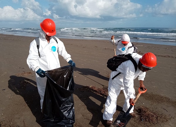 MARINA RECOLECTA 300 KILOGRAMOS DE MATERIAL DE HIDROCARBURO EN PLAYAS DE VERACRUZ Y ALVARADO
