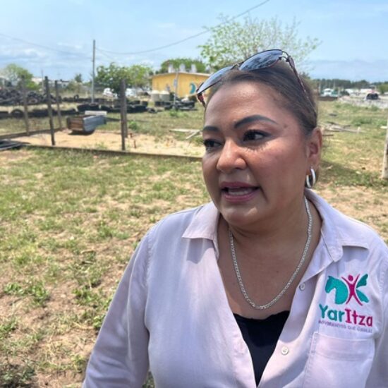 SE ROBAN A LUNA, YEGUA ESPECIALIZADA EN LA ATENCION DE MENORES CON TEA