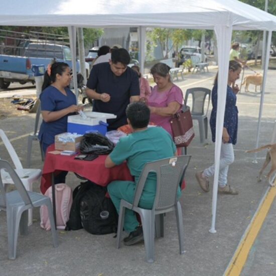 REFUERZA AYUNTAMIENTO DE VERACRUZ SALUD PÚBLICA CON VACUNACIÓN ANTIRRÁBICA EN LA CIUDAD