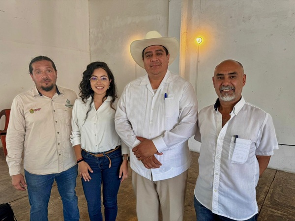 BUSCAN ACCIONES PARA EVITAR GANADO SUELTO EN CALLES Y AVENIDAS DE VERACRUZ