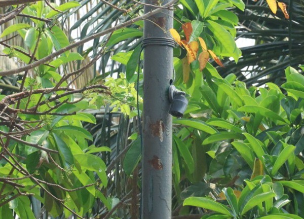 CON CAMARAS DE VIGILANCIA REFUERZAN SEGURIDAD EN EL ITVER