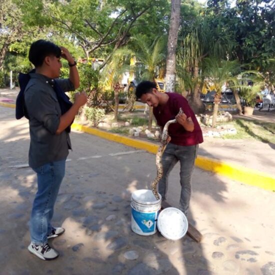 MANTIENE AYUNTAMIENTO DE VERACRUZ ATENCIÓN PERMANENTE PARA PROTEGER LA FAUNA DEL PARQUE ECOLÓGICO