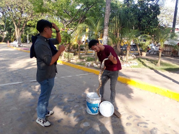 MANTIENE AYUNTAMIENTO DE VERACRUZ ATENCIÓN PERMANENTE PARA PROTEGER LA FAUNA DEL PARQUE ECOLÓGICO