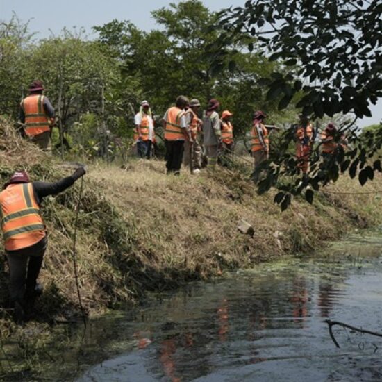 INTENSIFICA AYUNTAMIENTO DE VERACRUZ TRABAJOS DE LIMPIEZA Y DESAZOLVE ANTE TEMPORADA DE LLUVIAS