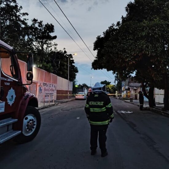ATIENDEN BOMBEROS MUNICIPALES DE VERACRUZ ATAQUE DE ABEJAS; SOLICITAN APOYO PARA LOCALIZAR A FAMILIARES DE UN LESIONADO
