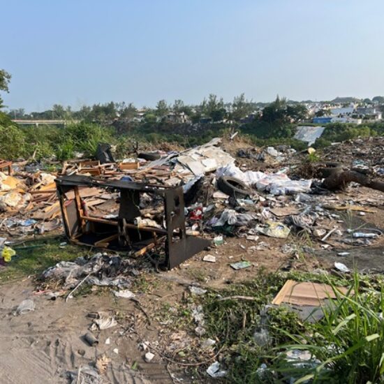 REFUERZA AYUNTAMIENTO DE VERACRUZ ACCIONES PARA MEJORAR LA IMAGEN Y EL ORDEN DE LA CIUDAD