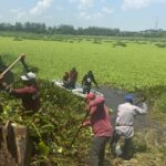 RETIRA AYUNTAMIENTO DE VERACRUZ MÁS DE 100 TONELADAS DE RESIDUOS EN LAGUNAS DE LA CIUDAD