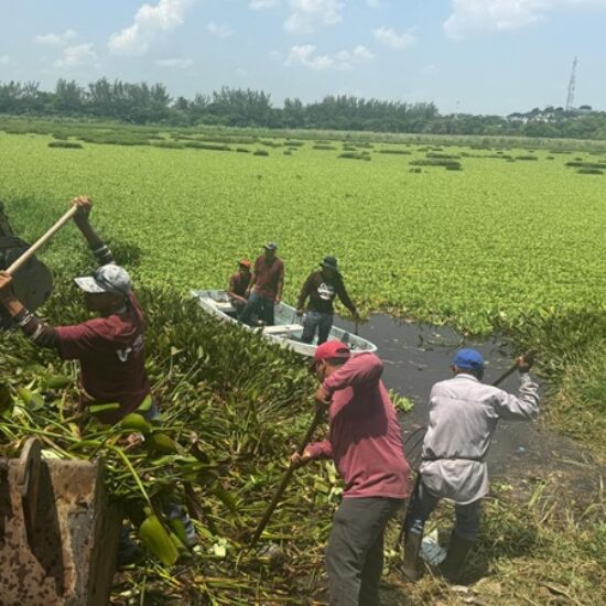 RETIRA AYUNTAMIENTO DE VERACRUZ MÁS DE 100 TONELADAS DE RESIDUOS EN LAGUNAS DE LA CIUDAD