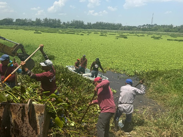 RETIRA AYUNTAMIENTO DE VERACRUZ MÁS DE 100 TONELADAS DE RESIDUOS EN LAGUNAS DE LA CIUDAD
