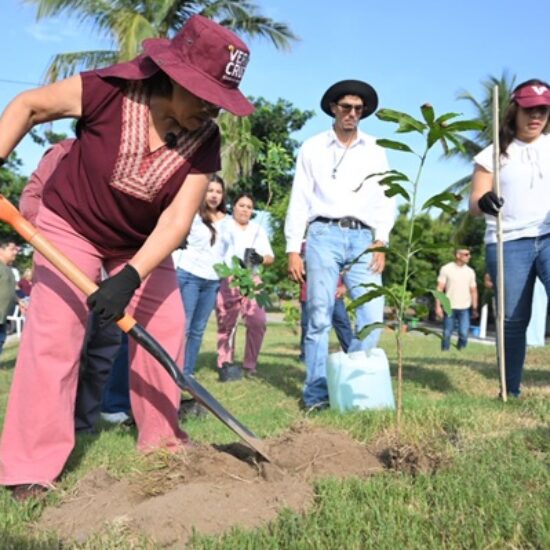 CON 20 MIL ÁRBOLES SEMBRADOS, REFRENDA ROSA MARÍA COMPROMISO AMBIENTAL DURANTE JORNADA NACIONAL DE REFORESTACIÓN 2026