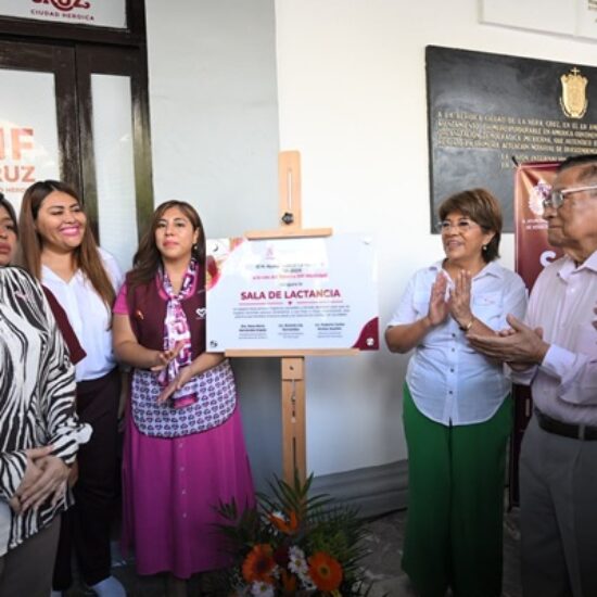 IMPULSA ROSA MARÍA ESPACIOS DIGNOS Y SEGUROS PARA LA LACTANCIA MATERNA
