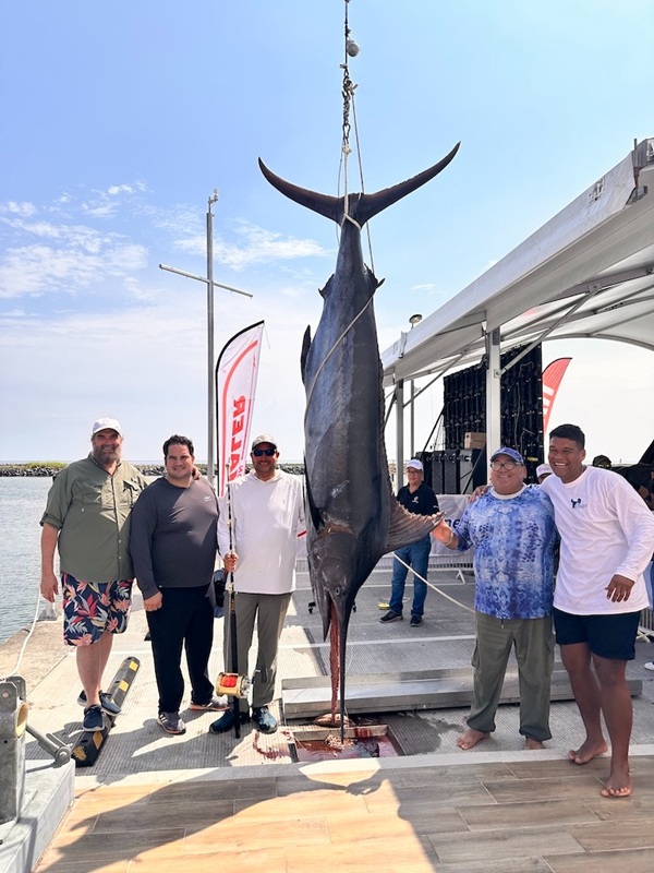 SORPRENDE CON MARLÍN DE 181.6 KILOS EL ARRANQUE DEL TORNEO GULFMARINE 2026