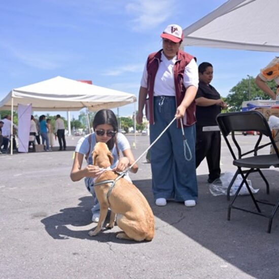 FORTALECE AYUNTAMIENTO DE VERACRUZ LA SALUD Y PROTECCIÓN DE ANIMALES DE COMPAÑÍA EN JORNADA NACIONAL DE VACUNACIÓN 2026