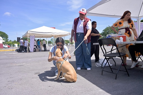 FORTALECE AYUNTAMIENTO DE VERACRUZ LA SALUD Y PROTECCIÓN DE ANIMALES DE COMPAÑÍA EN JORNADA NACIONAL DE VACUNACIÓN 2026